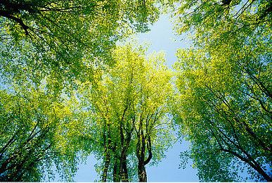 育碧《孤岛惊魂6》XSX版直播实机内容分享